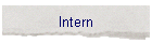 Intern