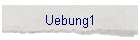 Uebung1